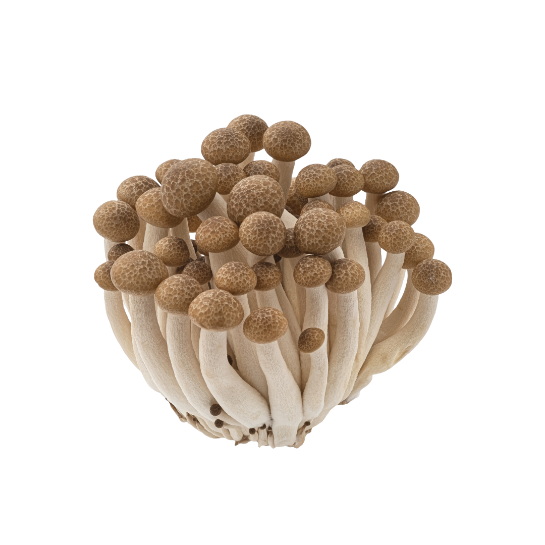 Fungo Natural Bunashimeji 150g Fungo Natural Bunashimeji 150g
